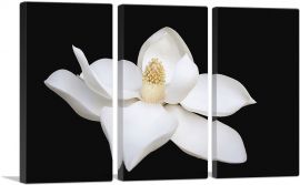 Magnolia White Flower Home Decor Rectangle-3-Panels-60x40x1.5 Thick