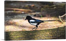 Magpie Home decor-1-Panel-18x12x1.5 Thick