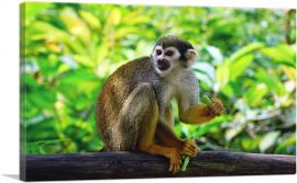 Monkey In The Jungle Home decor-1-Panel-26x18x1.5 Thick