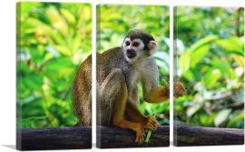 Monkey In The Jungle Home decor-3-Panels-60x40x1.5 Thick