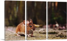 Mouse In Forest Home decor-3-Panels-60x40x1.5 Thick