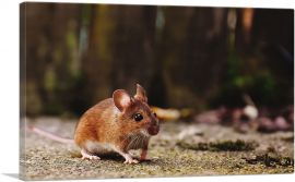 Mouse In Forest Home decor-1-Panel-12x8x.75 Thick