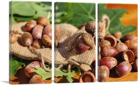 Oak Nuts on Oak Leaves-3-Panels-90x60x1.5 Thick
