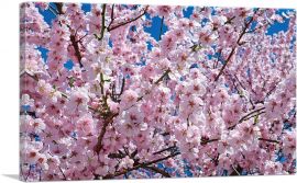 Orchard Tree Blossoms Home Decor Rectangle-1-Panel-40x26x1.5 Thick