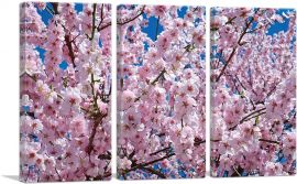 Orchard Tree Blossoms Home Decor Rectangle-3-Panels-90x60x1.5 Thick