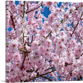 Orchard Tree Blossoms Home Decor Square