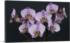 Orchids Flowers Home decor-1-Panel-12x8x.75 Thick