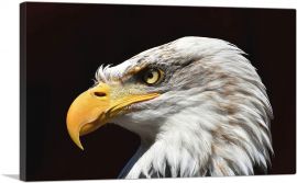 Bald Eagle Portrait Home decor-1-Panel-12x8x.75 Thick