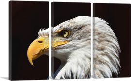 Bald Eagle Portrait Home decor-3-Panels-90x60x1.5 Thick