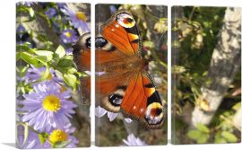 Peacock Butterfly On Flowers Home Decor Rectangle-3-Panels-60x40x1.5 Thick