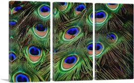 Peacock Feathers Home decor-3-Panels-90x60x1.5 Thick