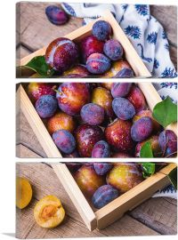Plums Home decor-3-Panels-60x40x1.5 Thick