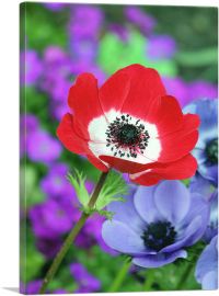 Red Anemone in Colorful Garden-1-Panel-12x8x.75 Thick