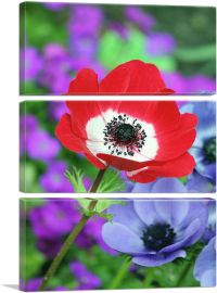 Red Anemone in Colorful Garden-3-Panels-60x40x1.5 Thick