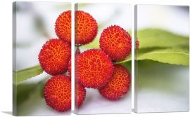 Red Arbutus Fruits-3-Panels-90x60x1.5 Thick