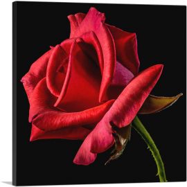 Red Rose Home decor-1-Panel-18x18x1.5 Thick