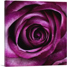 Rose Flower Home Decor Square-1-Panel-18x18x1.5 Thick