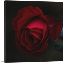 Rose Red Flower-1-Panel-18x18x1.5 Thick