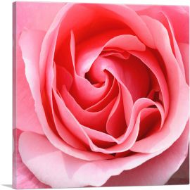 Rose Texture Home decor-1-Panel-12x12x1.5 Thick