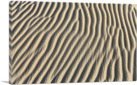 Sahara Desert Texture Home decor-1-Panel-12x8x.75 Thick