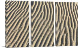 Sahara Desert Texture Home decor-3-Panels-90x60x1.5 Thick