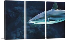 Shark In Ocean Home Decor Rectangle-3-Panels-90x60x1.5 Thick