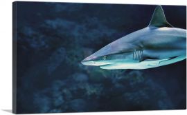Shark In Ocean Home Decor Rectangle