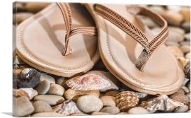 Slippers on Rocks and Shells-1-Panel-26x18x1.5 Thick