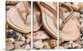 Slippers on Rocks and Shells-3-Panels-90x60x1.5 Thick