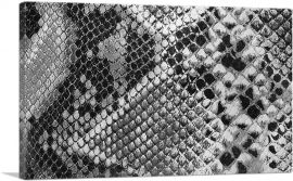 Snake Skin Home Decor Rectangle-1-Panel-26x18x1.5 Thick