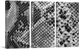 Snake Skin Home Decor Rectangle-3-Panels-90x60x1.5 Thick