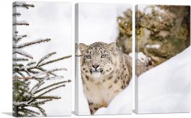 Snow Leopard Home decor-3-Panels-60x40x1.5 Thick