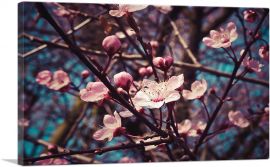 Spring Almond Blossom Flowers-1-Panel-40x26x1.5 Thick