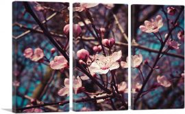 Spring Almond Blossom Flowers-3-Panels-60x40x1.5 Thick