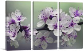 Spring Blossom Flower Rectangle-3-Panels-60x40x1.5 Thick