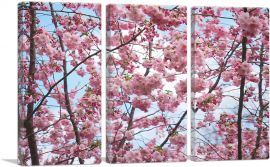 Spring Cherry Blossom Tree Home decor-3-Panels-60x40x1.5 Thick