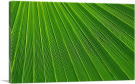 Abstract Green Leaf-1-Panel-60x40x1.5 Thick