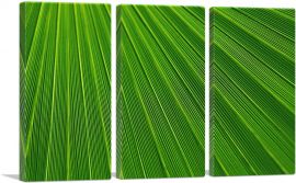 Abstract Green Leaf-3-Panels-60x40x1.5 Thick