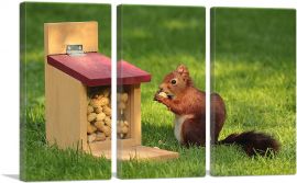 Squirrel And Peanuts Home decor-3-Panels-60x40x1.5 Thick