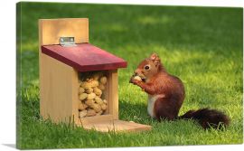 Squirrel And Peanuts Home decor-1-Panel-26x18x1.5 Thick