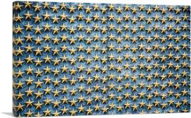 Star Monument Wall Home decor-1-Panel-12x8x.75 Thick