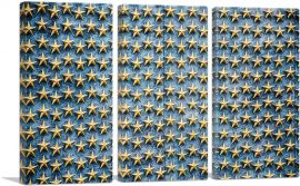 Star Monument Wall Home decor-3-Panels-60x40x1.5 Thick