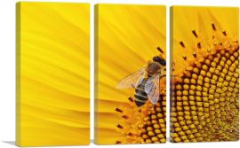 Bee On Sunflower Home decor-3-Panels-90x60x1.5 Thick