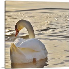 Swan In Lake Home Decor Square-1-Panel-26x26x.75 Thick