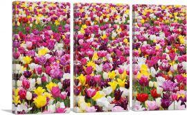 Tulips Pattern Home Decor Rectangle-3-Panels-90x60x1.5 Thick