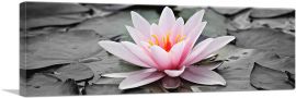 Water Lily Lotus Home Decor Panoramic-1-Panel-48x16x1.5 Thick