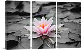 Water Lily Lotus Home Decor Rectangle-3-Panels-60x40x1.5 Thick