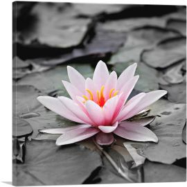 Water Lily Lotus Home Decor Square-1-Panel-18x18x1.5 Thick
