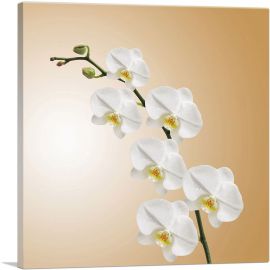 White Blossom Flowers Home decor-1-Panel-26x26x.75 Thick