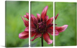 Wild Red Flower Home decor-3-Panels-60x40x1.5 Thick